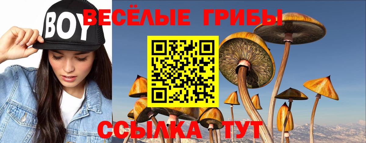 Галлюциногенные грибы мухоморы  Вход с VPN  Карпинск  Псилоцибиновые грибы мухоморы 