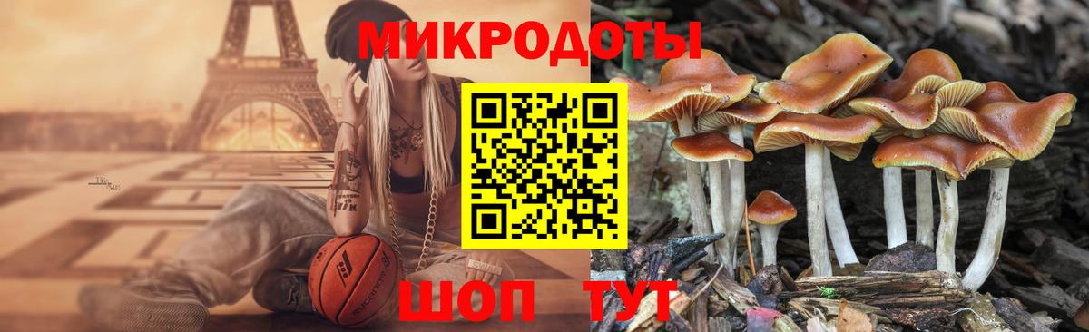 Галлюциногенные грибы Psilocybine cubensis Карпинск